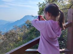 -大岭沟猕猴桃谷风景区