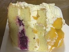 -维尔纳斯·生日蛋糕·动物奶油冰淇淋蛋糕(六里桥店)