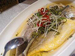 -老人和饭店(打浦路店)