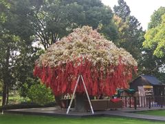 -狼山风景名胜区