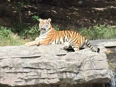-宁波野生动物园