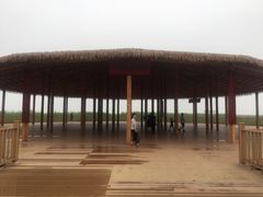 -白洋淀景区