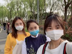 -昆山城市生态森林公园