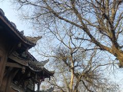 -黄龙溪古镇