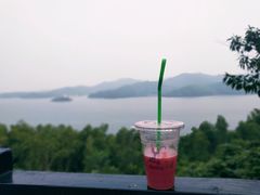 -天目湖涵田半山温泉