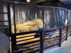 -酷嗒动物文化乐园(cutezoo西溪乐天城店)