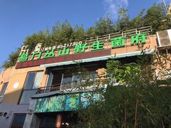-易门野生菌府·菌海森林(月牙潭公园店)