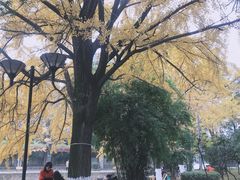 -四川大学(华西校区)