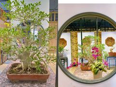 -石家庄市植物园