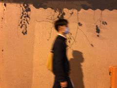 -溪岸路花鸟市场
