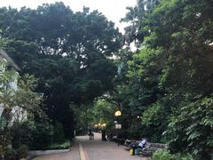 -九龙公园