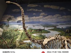 -自贡恐龙博物馆