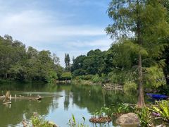 -深圳仙湖植物园