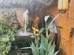 -园林美食城·本土农家菜(杨和镇店)