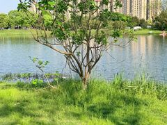 -瑶湖湿地自然保护区