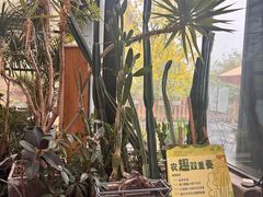 -北马山庄植趣咖啡