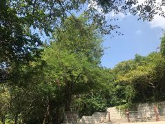 -呀诺达热带雨林