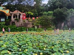 -广州莲花山旅游区