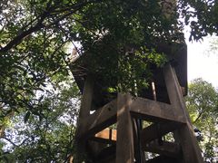 -溪口-滕头旅游景区