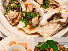 -凤凰湘语(浦东旗舰店)