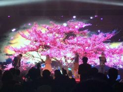 -沈阳新都绿城喜来登酒店·宴会厅