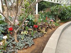 -石家庄市植物园