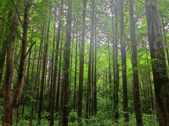 -小格里自然风景区