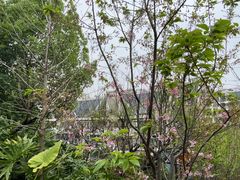 -乌山风景区