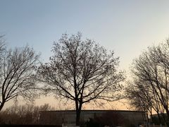 -北京国家会计学院