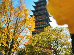 -常熟方塔园