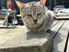 -韩城古城