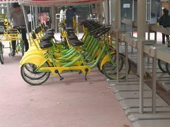 -合肥滨湖国家森林公园