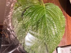 -新石器烤肉(中房金谊广场店)