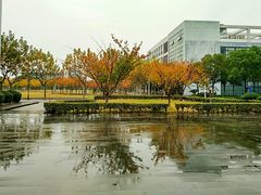 -复旦大学(张江校区)