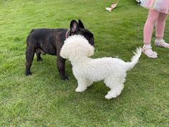 -不觉晓CAMPING(上海迪士尼营地店)