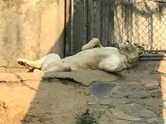 -石家庄市动物园