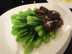老龙井御茶园(老龙井店)-十八棵（老龙井）御茶园(老龙井店)