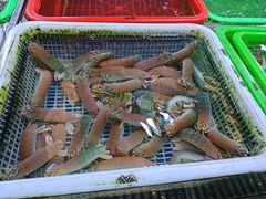 -先锋海鲜市场