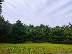 -永定河休闲森林公园