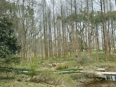 -杭州植物园