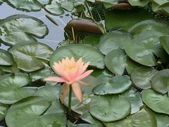 android_upload_pic-三亚湾海居铂尔曼度假酒店