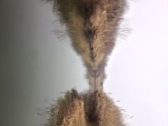 溱湖国家湿地公园-溱湖国家湿地公园