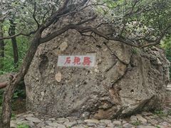 -阳台山自然风景区