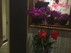 -静 泰养生(黄金城道店)