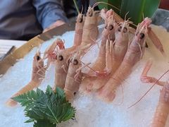 -Mr.Fish鱼鲜生海鲜放题(高德置地冬广场店)