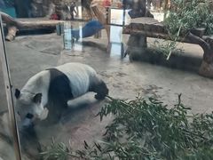 -石家庄市动物园