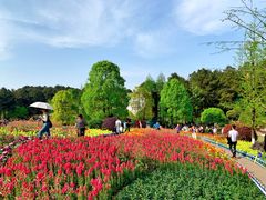 -铁山坪森林公园