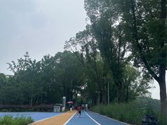 -葛仙湖公园