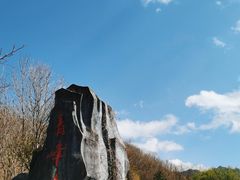 -青峰峡国家森林公园