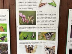 -野象谷景区